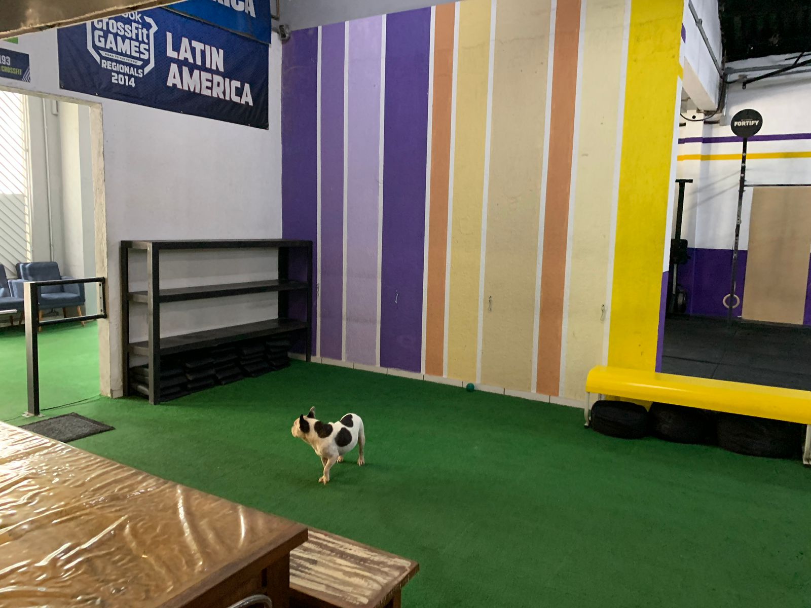 Imagem do WhatsApp de 2023-04-05 à(s) 17.35.41fdqwd